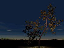 TreeMark.jpg (11321 bytes)